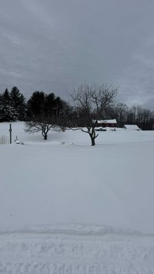Snowmobile Vermont - Killington•Okemo Mountain Tour by null