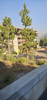 The Westin Monache Resort, Mammoth by null