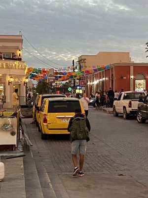 Art Walk San Jose Del Cabo by null