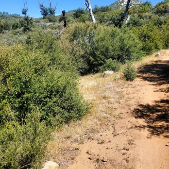 Cuyamaca Rancho State Park - Campgrounds Near Me - Julian, California