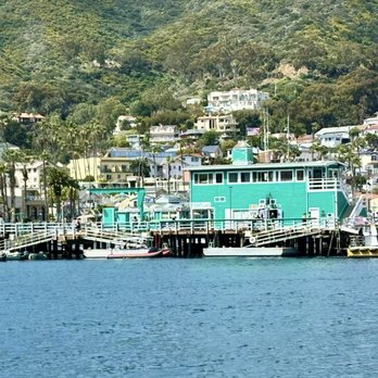 Marlin Club - Beautiful day in Catalina. March 5, 2026. - Dive Bars Near Me - Avalon, California