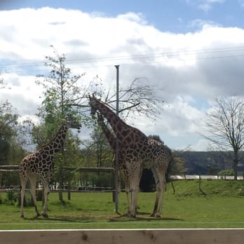 Fota Wildlife Park - Parks Near Me - Fota, Colorado