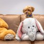 Photo of Maynard Veterinary Care
