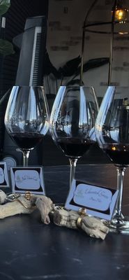 The Wine Garden by null