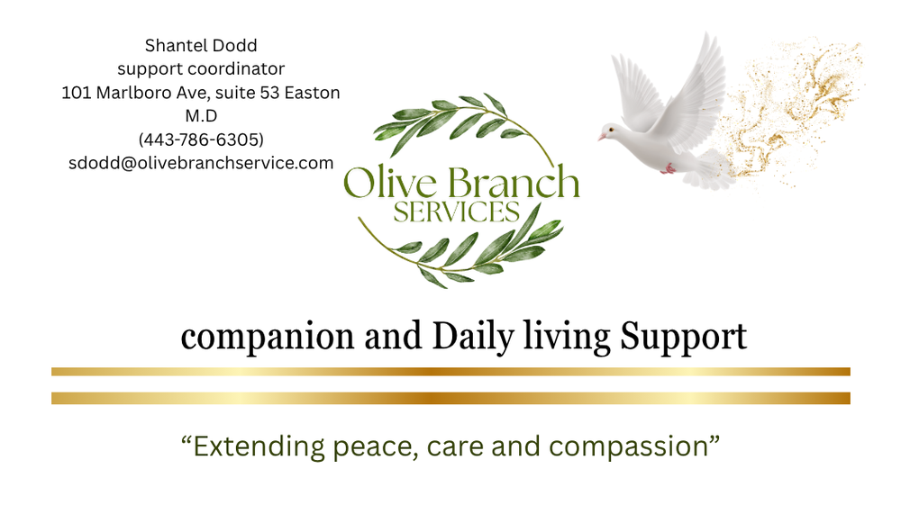 OLIVE BRANCH SERVICE - Updated June 2026 - 101 Marlboro Ave, Easton ...