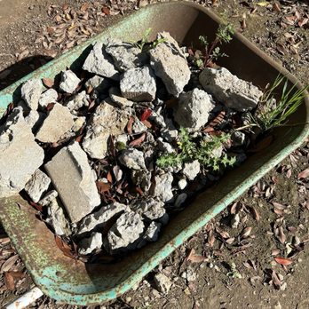 Hernandez One Time Yard Clean Up - Cement - Junk Removal & Hauling Near Me - Stockton, California