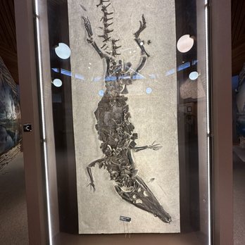 Fossil Butte National Monument - Museums Near Me - Kemmerer, Wyoming