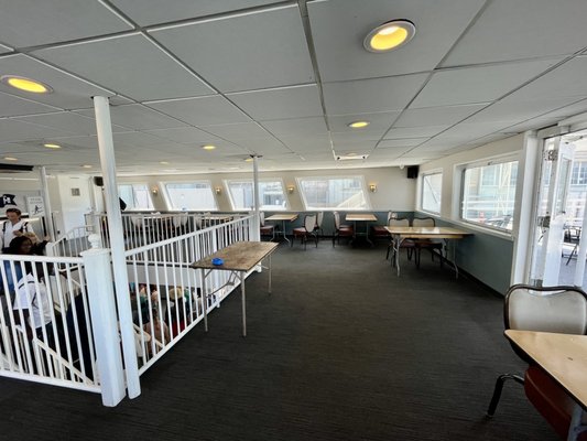 City Cruises by null