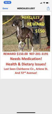 Kincaid Park by null