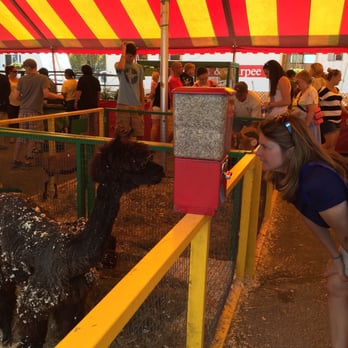 Allentown Fair - You can feed the animals - Festivals Near Me - Allentown, Pennsylvania Allentown Fair - You can feed the animals - Festivals Near Me - Allentown, Pennsylvania