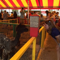 Allentown Fair - You can feed the animals