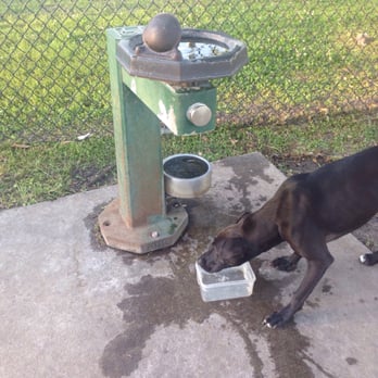 Confederate Park - Dog Parks Near Me - Jacksonville, Florida