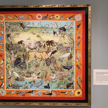 Witte Museum - Limited edition Hermes scarf by a Texas artist - Museums Near Me - San Antonio, Texas Witte Museum - Limited edition Hermes scarf by a Texas artist - Museums Near Me - San Antonio, Texas