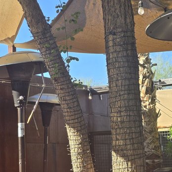 32 Shea - Outdoor environment - Coffee & Tea Near Me - Phoenix, Arizona