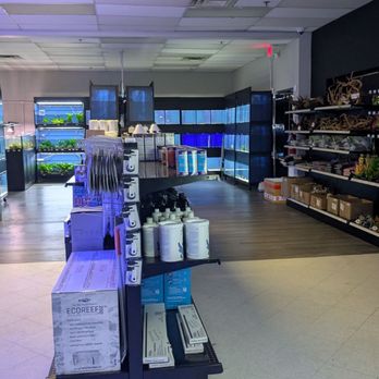Tropical Exotics - Tropical Exotics * WDBR, VA - Local Fish Stores Near Me - Dale City, Virginia Tropical Exotics - Tropical Exotics * WDBR, VA - Local Fish Stores Near Me - Dale City, Virginia