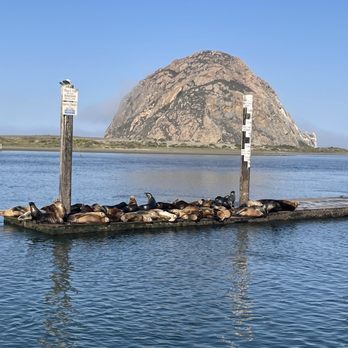 Sub Sea Tours - Rafting/Kayaking Near Me - Morro Bay, California Sub Sea Tours - Rafting/Kayaking Near Me - Morro Bay, California