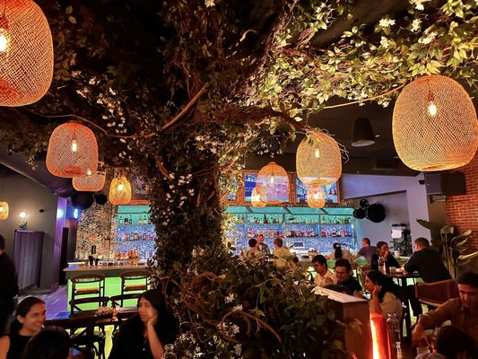 Don’t Tell Aunty by null