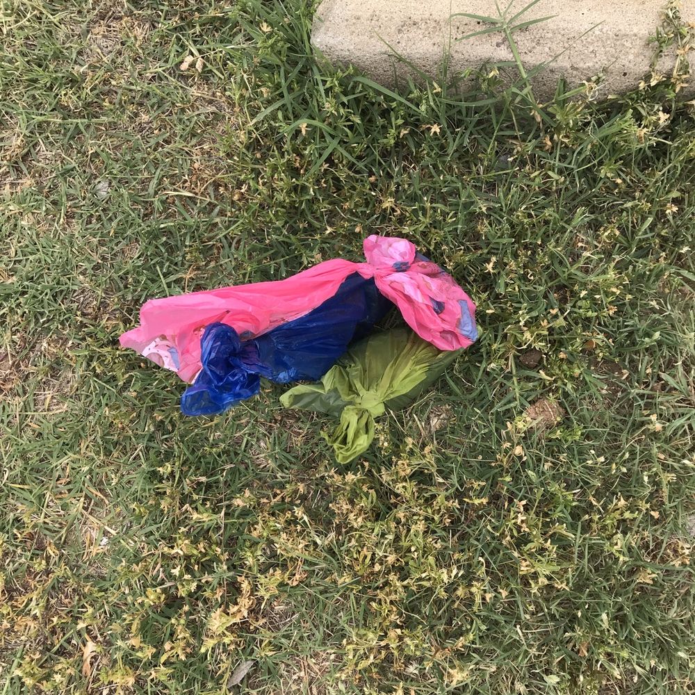 Wheeler Park - Pink bag belonged to my dog. Green & blue bags picked up and carried because we're not animals. - Parks Near Me - Oklahoma City, Oklahoma Wheeler Park - Pink bag belonged to my dog. Green & blue bags picked up and carried because we're not animals. - Parks Near Me - Oklahoma City, Oklahoma