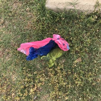 Wheeler Park - Pink bag belonged to my dog. Green & blue bags picked up and carried because we're not animals. - Parks Near Me - Oklahoma City, Oklahoma Wheeler Park - Pink bag belonged to my dog. Green & blue bags picked up and carried because we're not animals. - Parks Near Me - Oklahoma City, Oklahoma