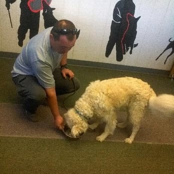 K9 Training Solutions - Pet Training Near Me - Gold River, California K9 Training Solutions - Pet Training Near Me - Gold River, California