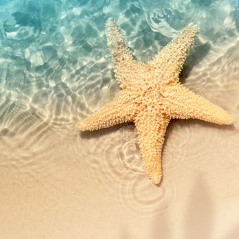 Stamped Destinations - Travel Agents Near Me - Phoenix, Arizona