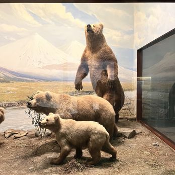 Field Museum - Museums Near Me - Chicago, Illinois Field Museum - Museums Near Me - Chicago, Illinois