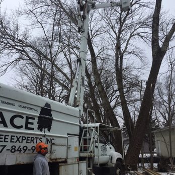 Ace Tree Experts - A job in Antioch 1 week ago,huge oak tree side of the house. - Tree Services Near Me - Waukegan, Illinois Ace Tree Experts - A job in Antioch 1 week ago,huge oak tree side of the house. - Tree Services Near Me - Waukegan, Illinois