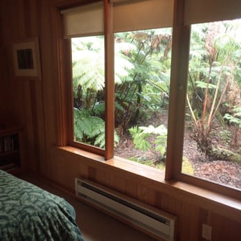 Volcano Places - One of three windows in bedroom overlooking beautiful ferns - Vacation Rental Agents Near Me Volcano Places - One of three windows in bedroom overlooking beautiful ferns - Vacation Rental Agents Near Me