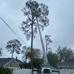 Robert's Tree Service