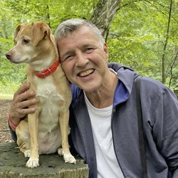 Hundetrainer | Stefan Thal