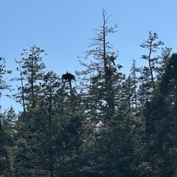 The Lodge & Resort at Lake Mary Ronan - Wildlife on board ride.