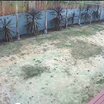 SmartGrass - BEFORE - Artificial Turf Near Me - Manhattan Beach, California SmartGrass - BEFORE - Artificial Turf Near Me - Manhattan Beach, California