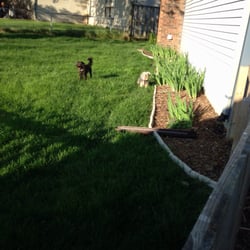 Landscaping In Indianapolis Yelp Total Lawn Care