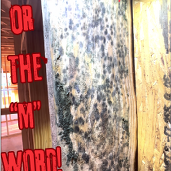 Inspect-O-Graff - Not Just "staining" found in Pre-Drywall Phase - Home Inspectors Near Me - Clearwater, Florida