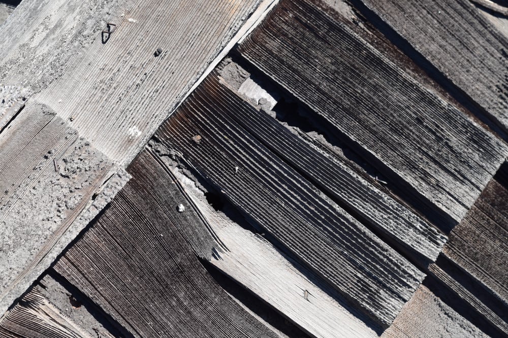 Slide of Big Tree Roofing and Inspections