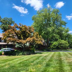 Beans Affordable Tree Service