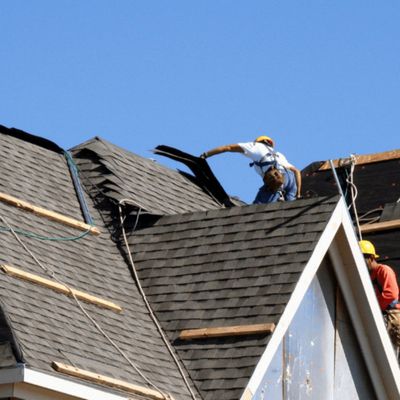 Juno Construction