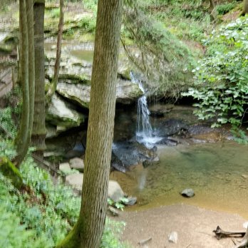 Frozen Head State Park - Parks Near Me - Wartburg, Tennessee Frozen Head State Park - Parks Near Me - Wartburg, Tennessee