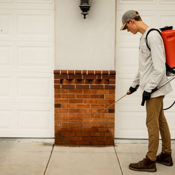 Quell - Pest Control Near Me - Irving, Texas Quell - Pest Control Near Me - Irving, Texas