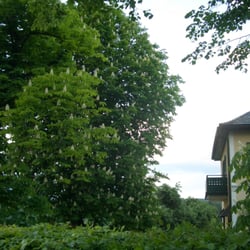 Gasthaus Kreuzwirt