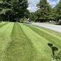 Reliable Lawn Care Services