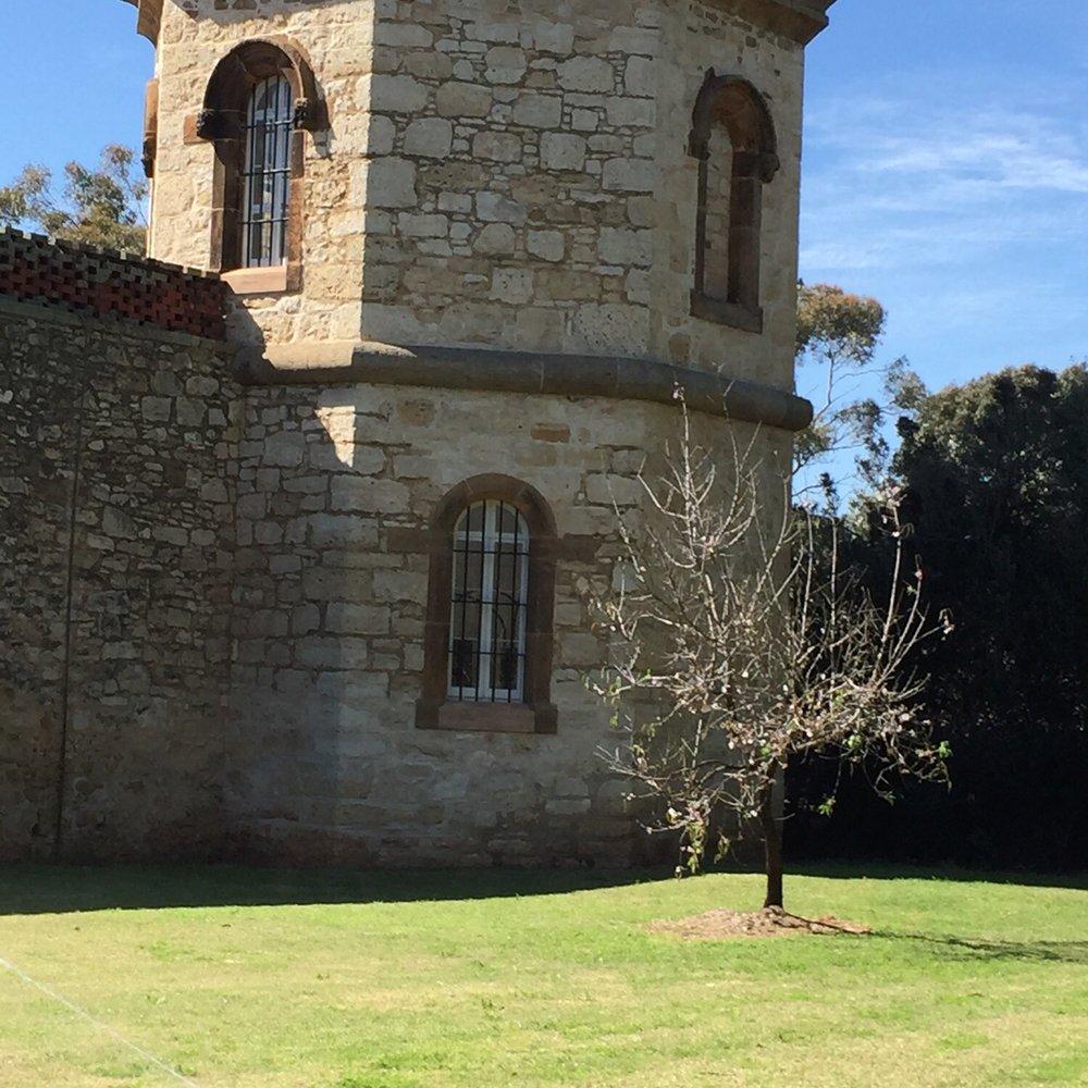 Adelaide Gaol - Museums Near Me - Thebarton, SA