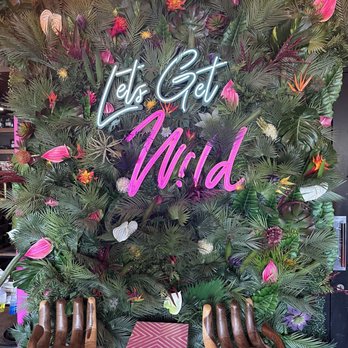 Wild - Coffee & Tea Near Me - Houston, Texas Wild - Coffee & Tea Near Me - Houston, Texas