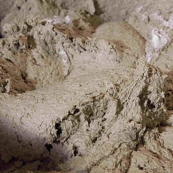 Hercules Vollkornmühlenbäckerei - Roggenbrotteig der sich ausruht