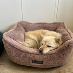 Happy Puppy