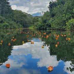 Kayaking in Kauai