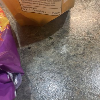 Massanutten Resort - Mice droppings - Hotels Near Me - Massanutten, Virginia