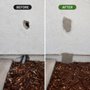 Advanced Wildlife Removal