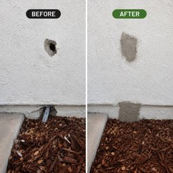 Advanced Wildlife Removal