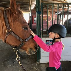 Zia Ranch - Jenna LOVES these horses
